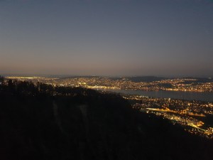 Zürich in der Nacht.