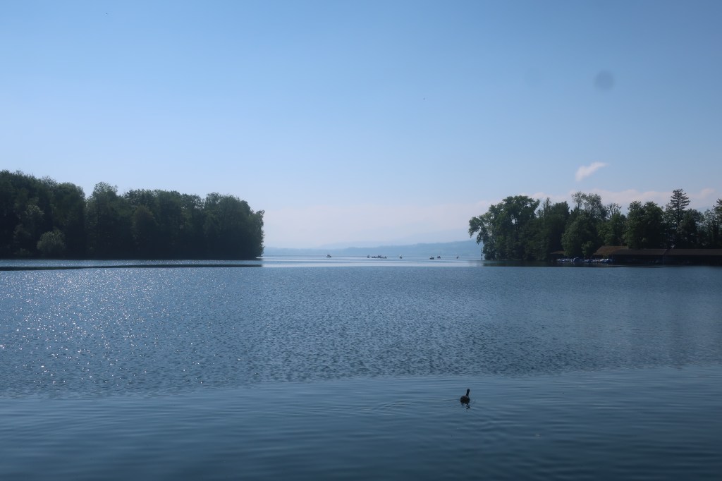 Sempachersee in Sursee.