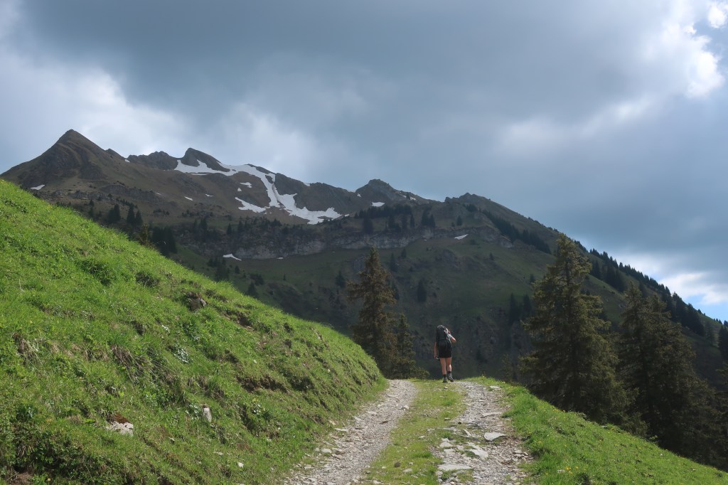 Richtung Brienzergrat. Von der Luzerner-Seite.