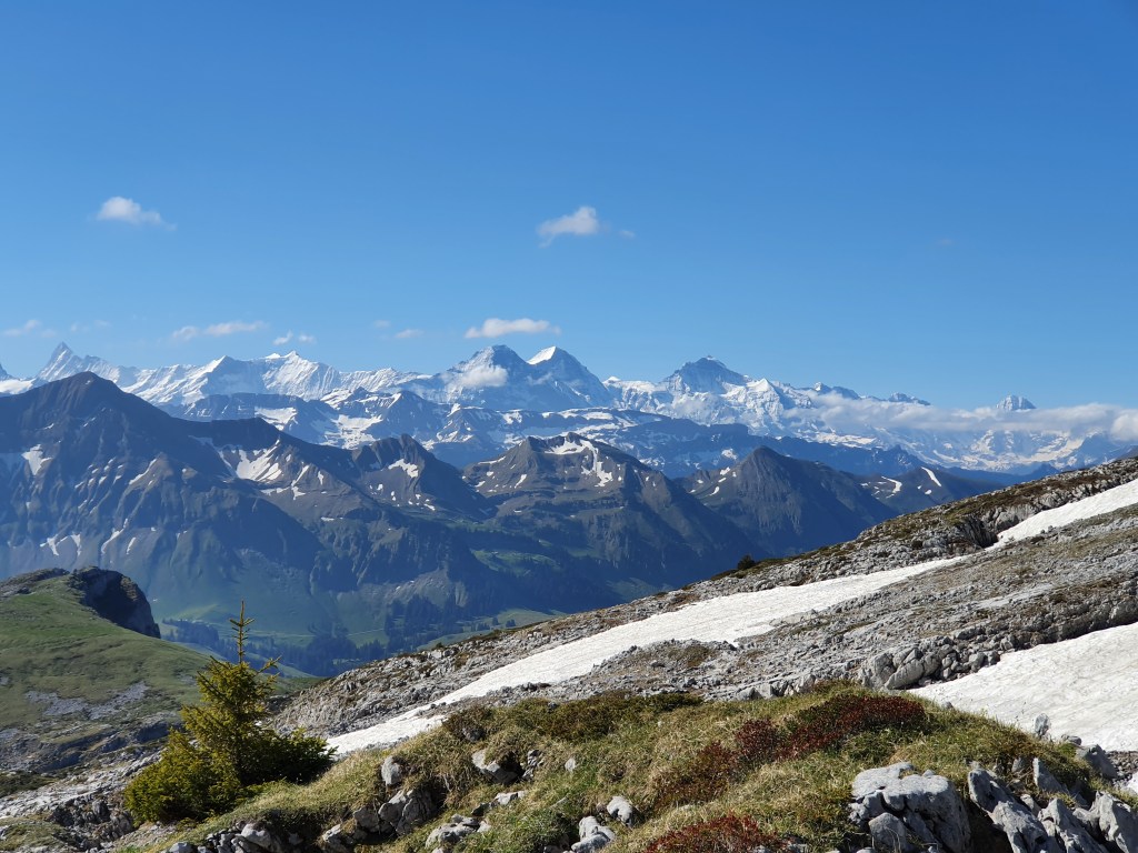 Berner Alpen von der Schrattenflue.