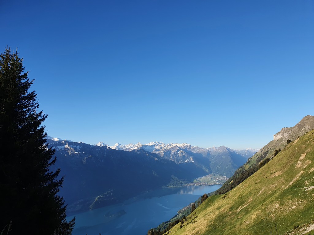 Blick von Bitschi auf den Brienzersee. Richtung Interlaken.