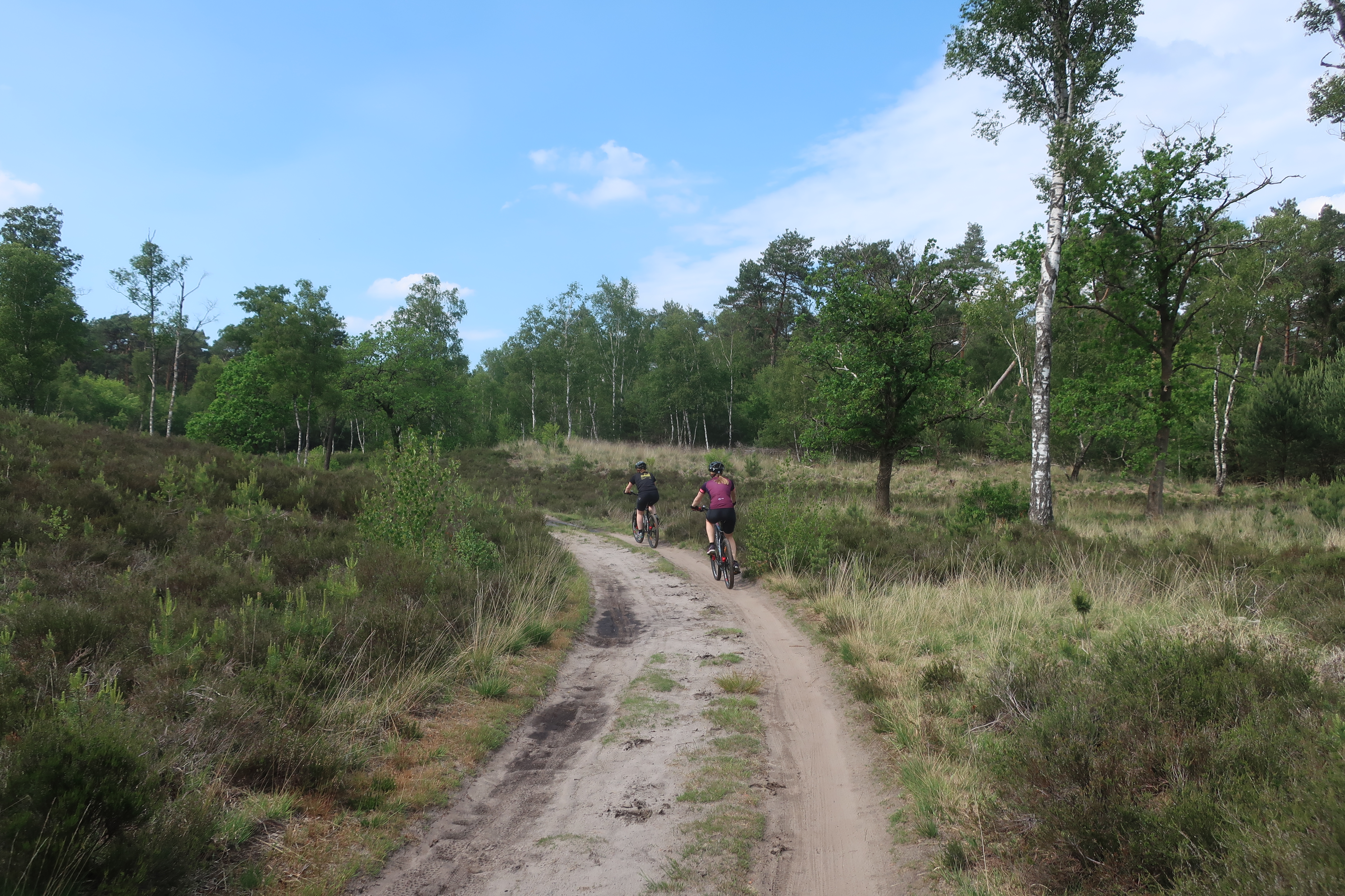 Durch die Natur mit dem Bike.