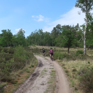 Durch die Natur mit dem Bike.