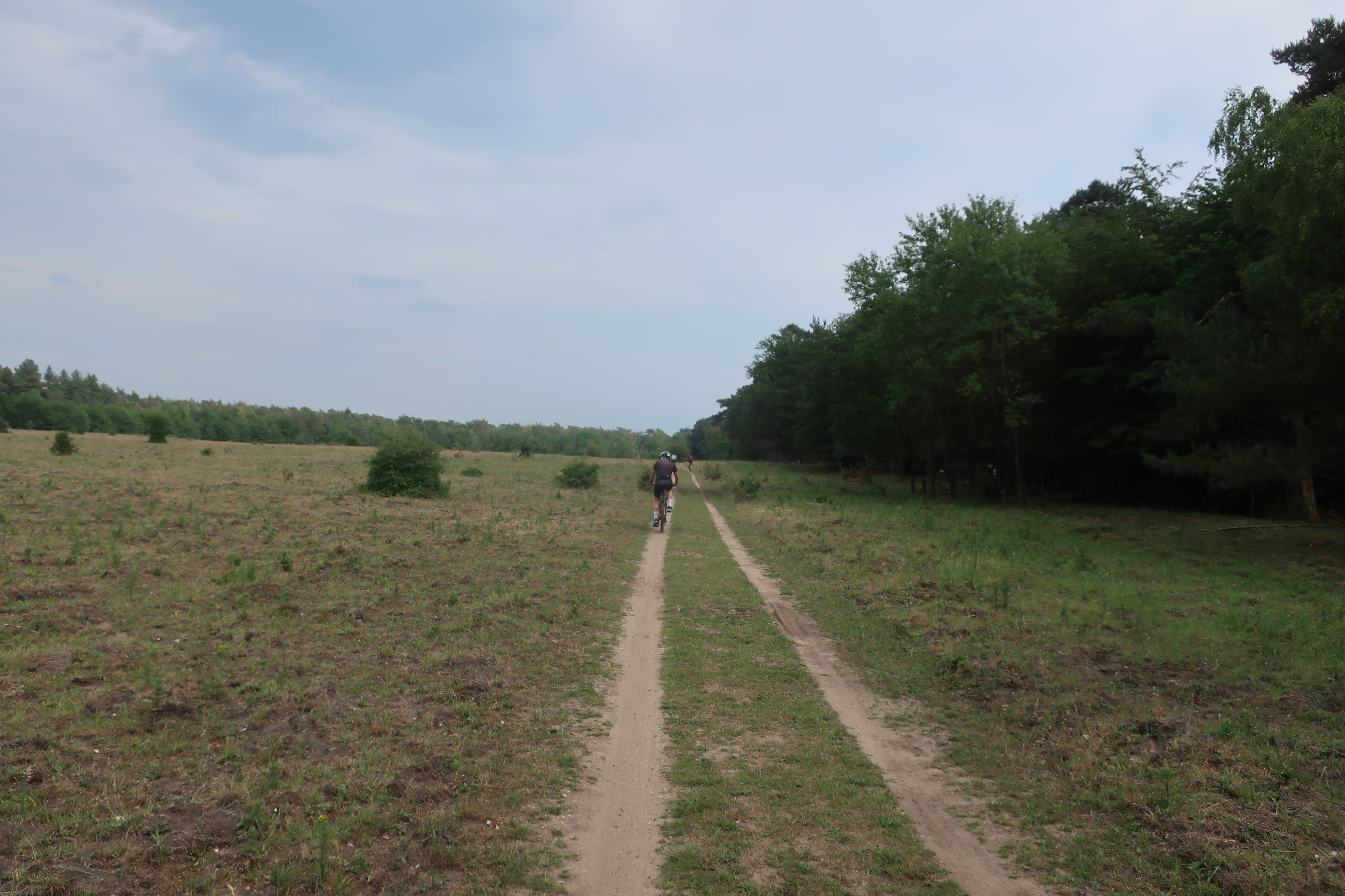 Mountainbiken auf der Heide.