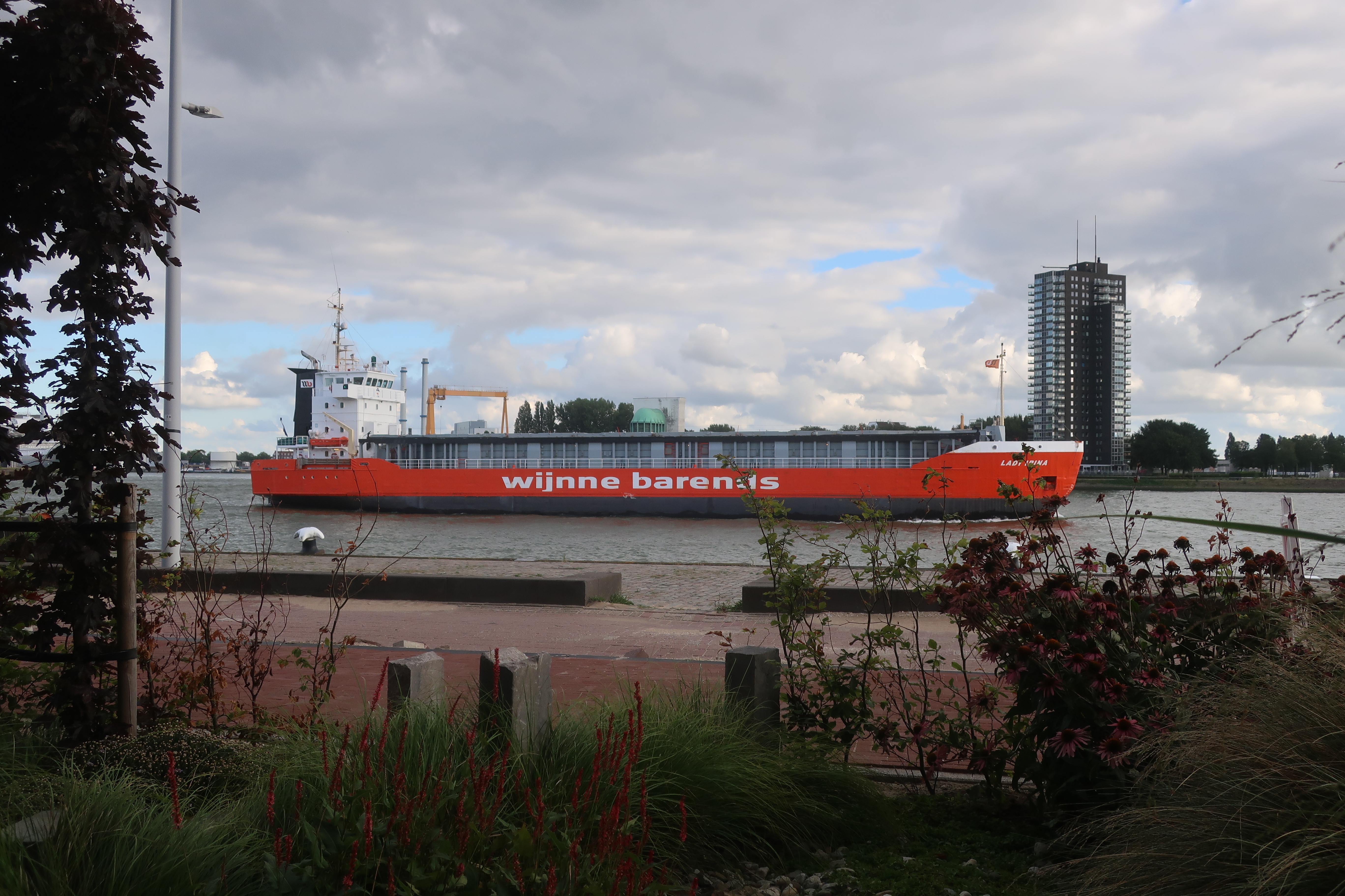 Blick vom Bed & Breakfast Maasview.