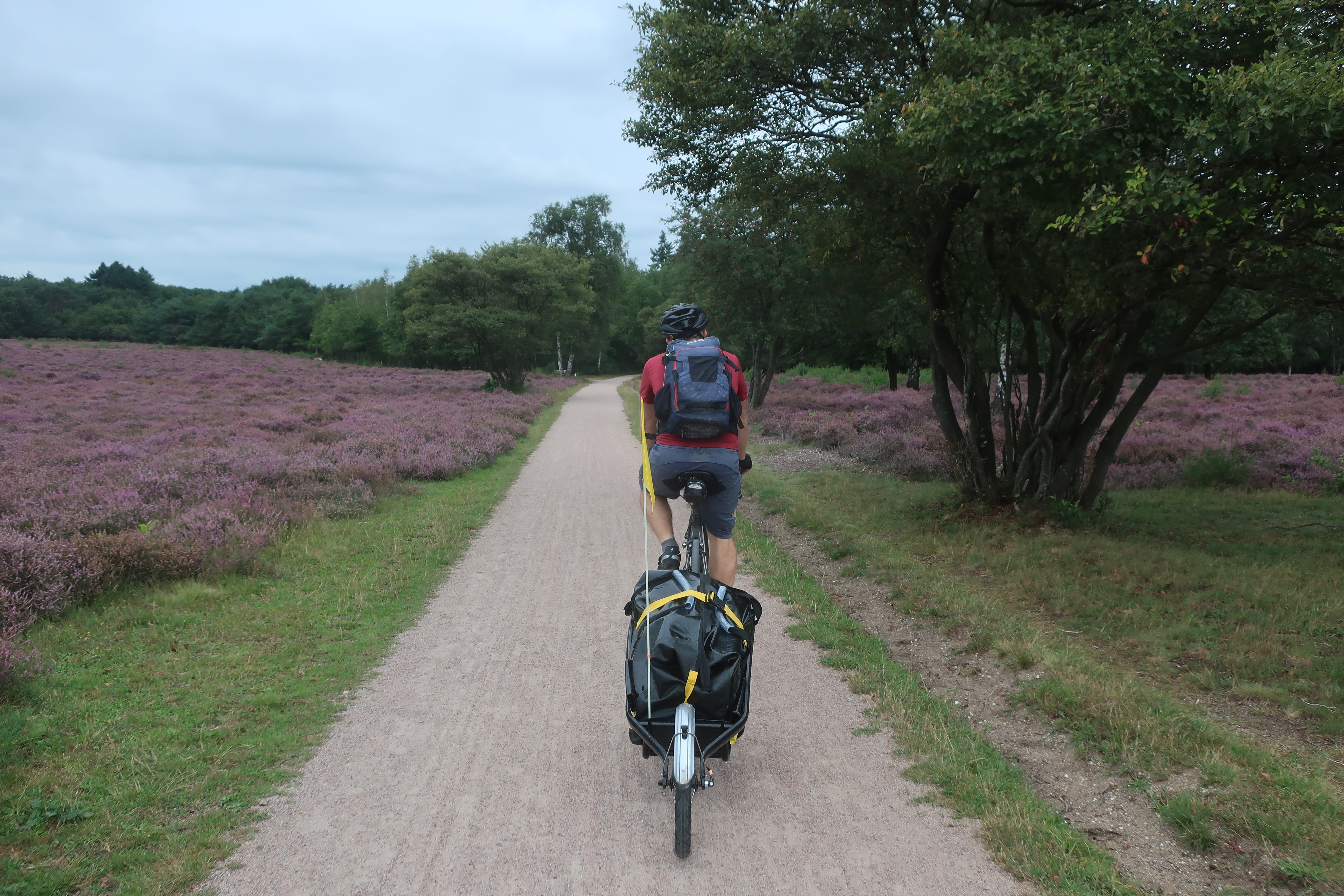 Zuiderheide bei Laren.