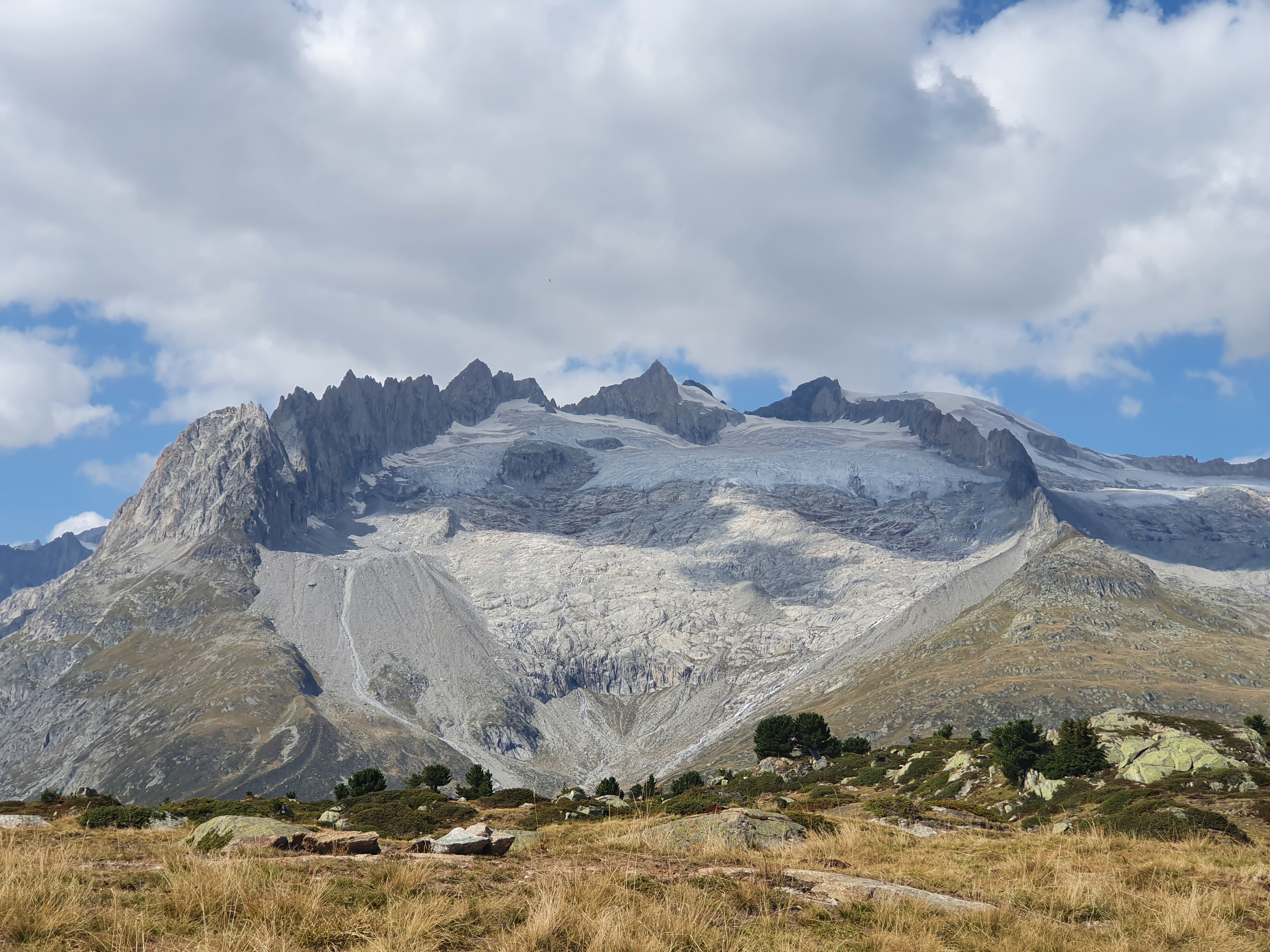 Bettmeralp. Drietschgletscher.