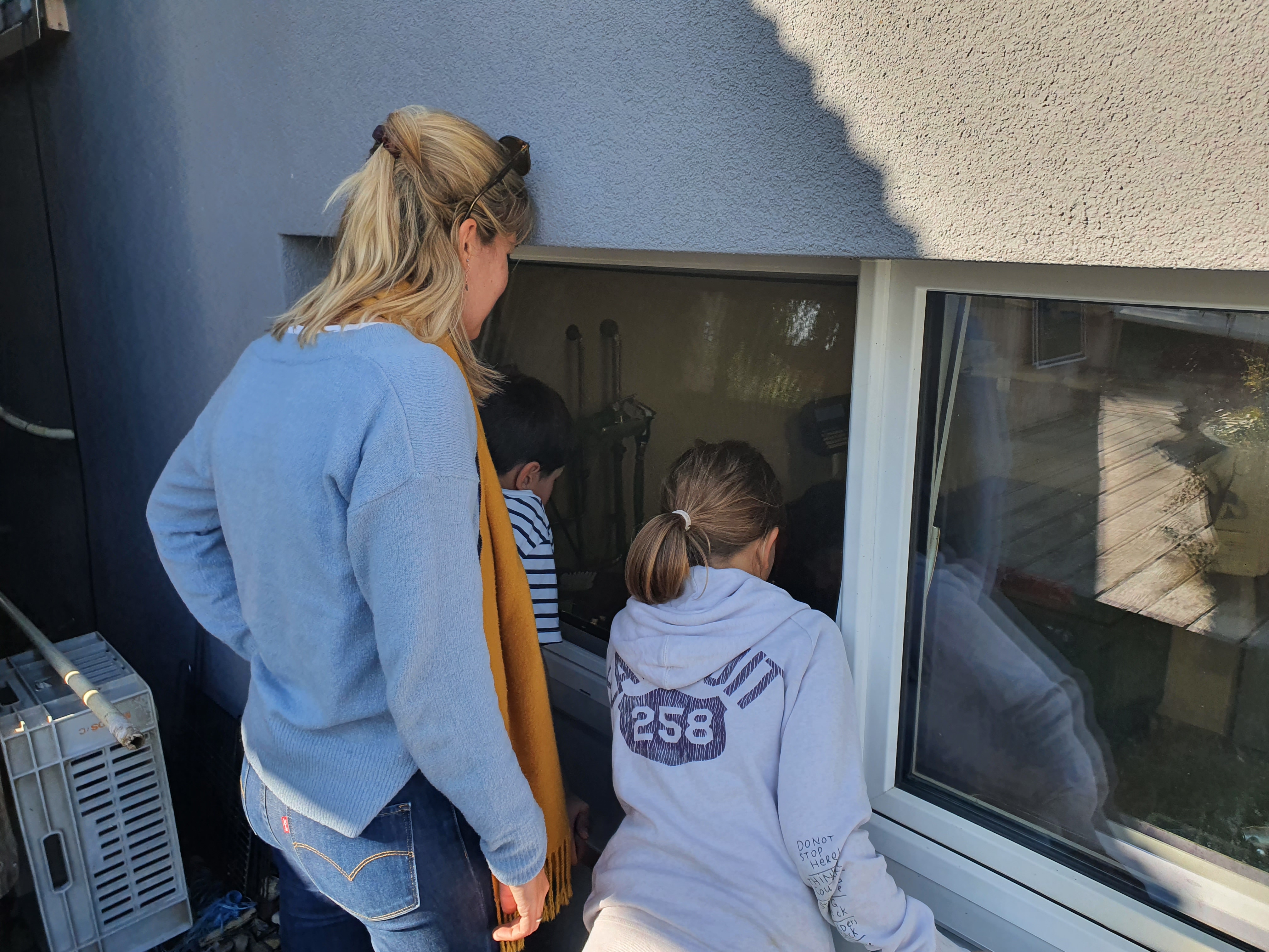 Gespannt gucken wir zu, wie ein Mitarbeiter die Fische ausnimmt.