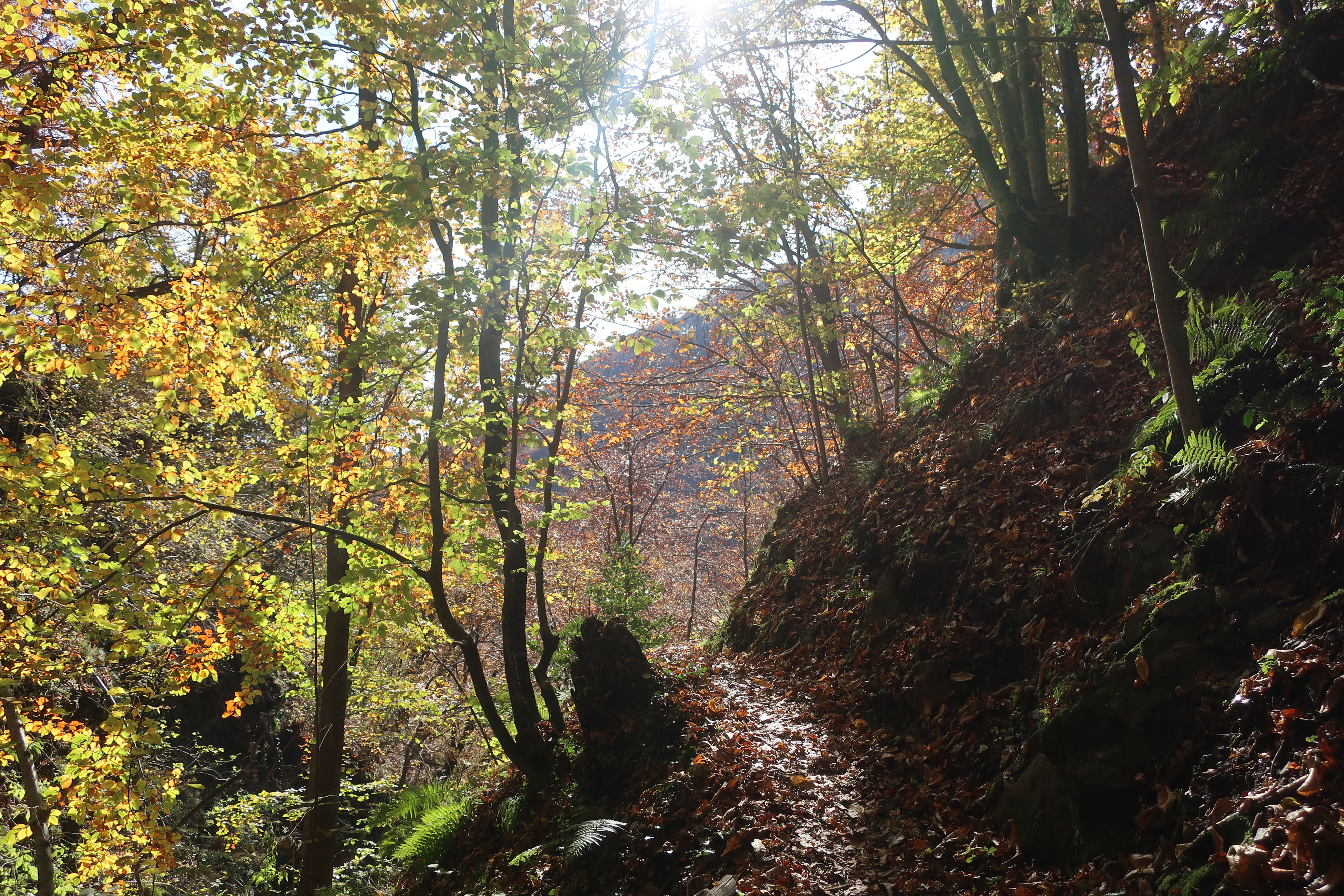 Kurz nach Mergoscia.