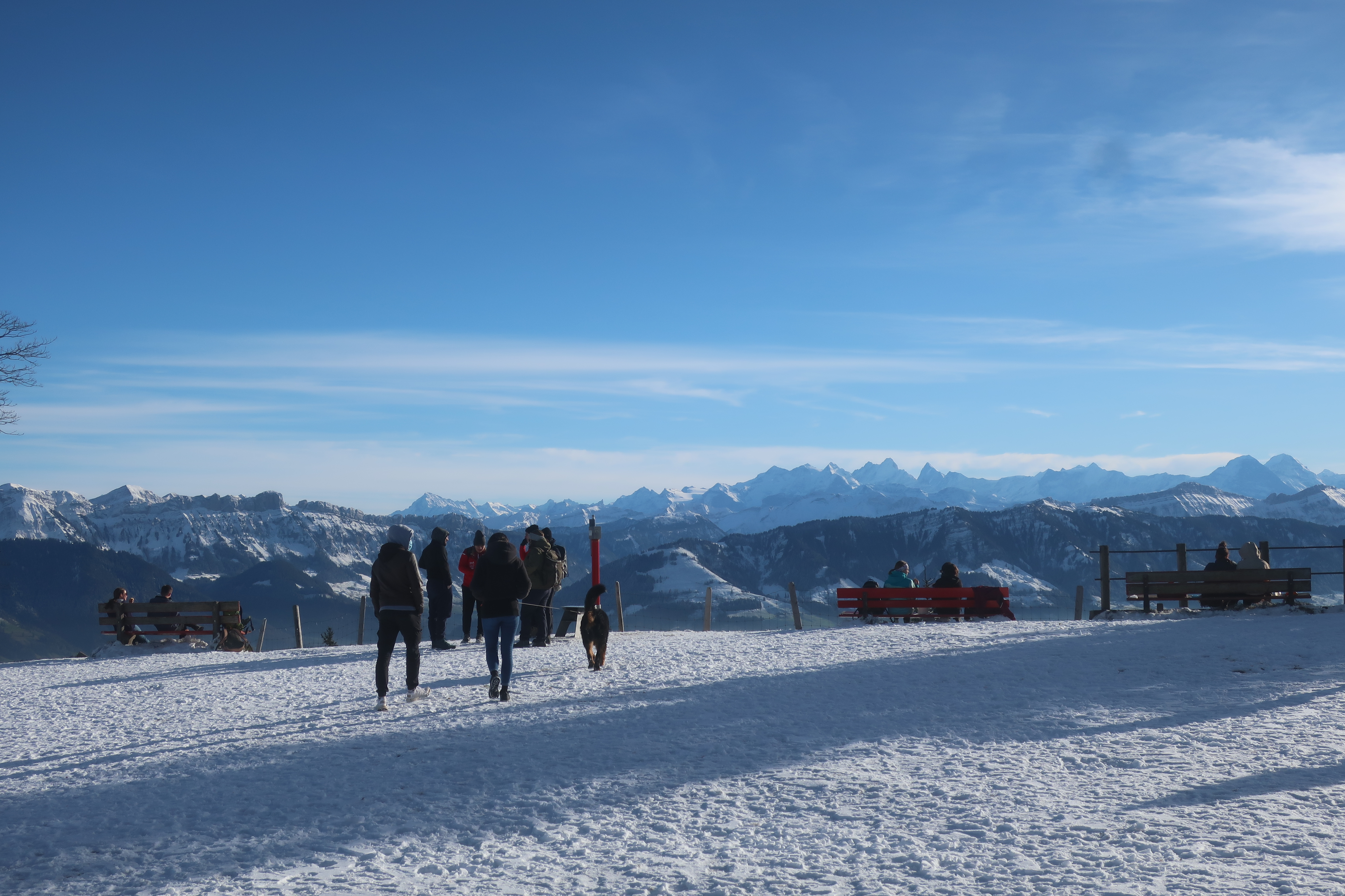Blick vom Napf zu den Berner Alpen.