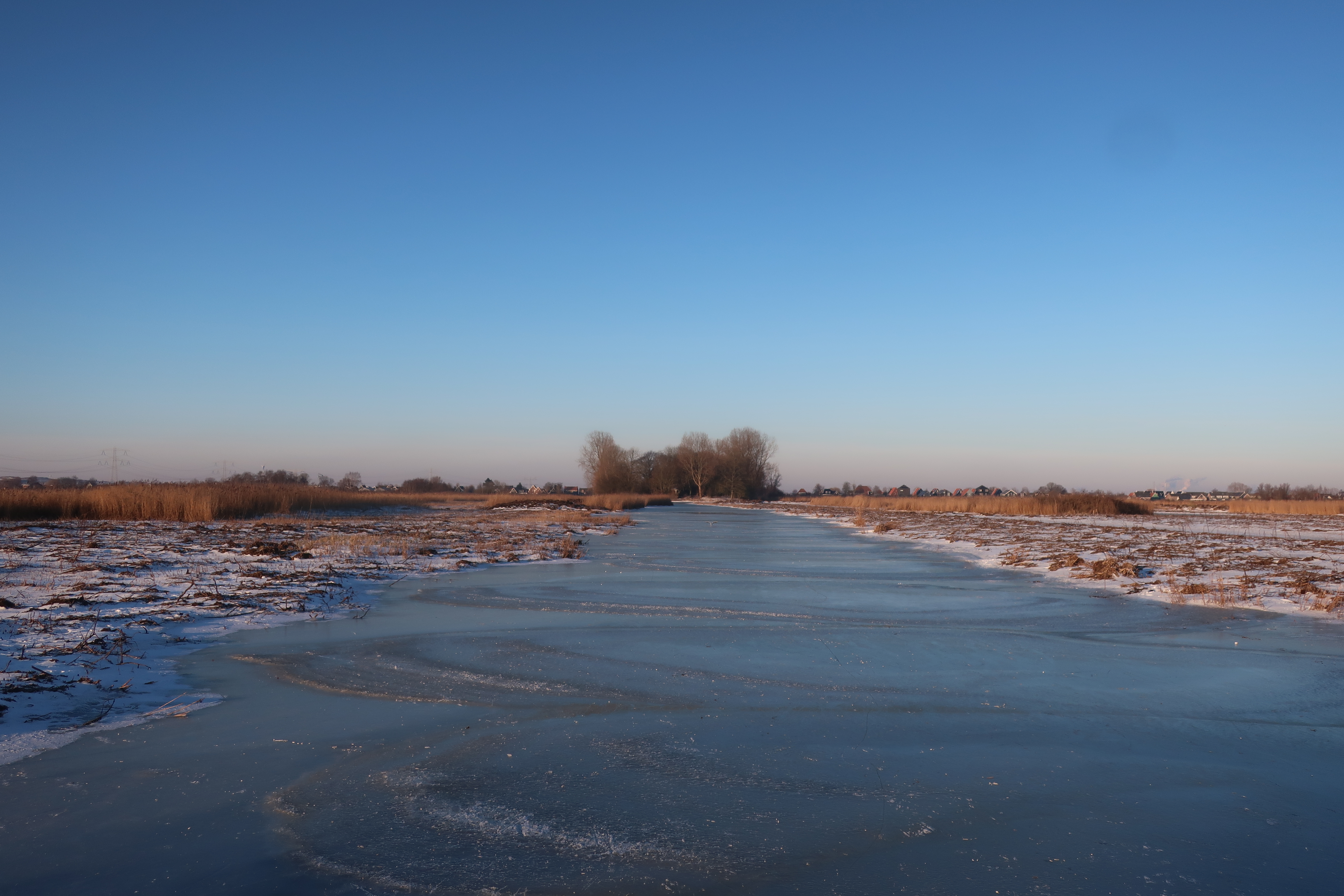 Durch die Felder bei Westzaan.