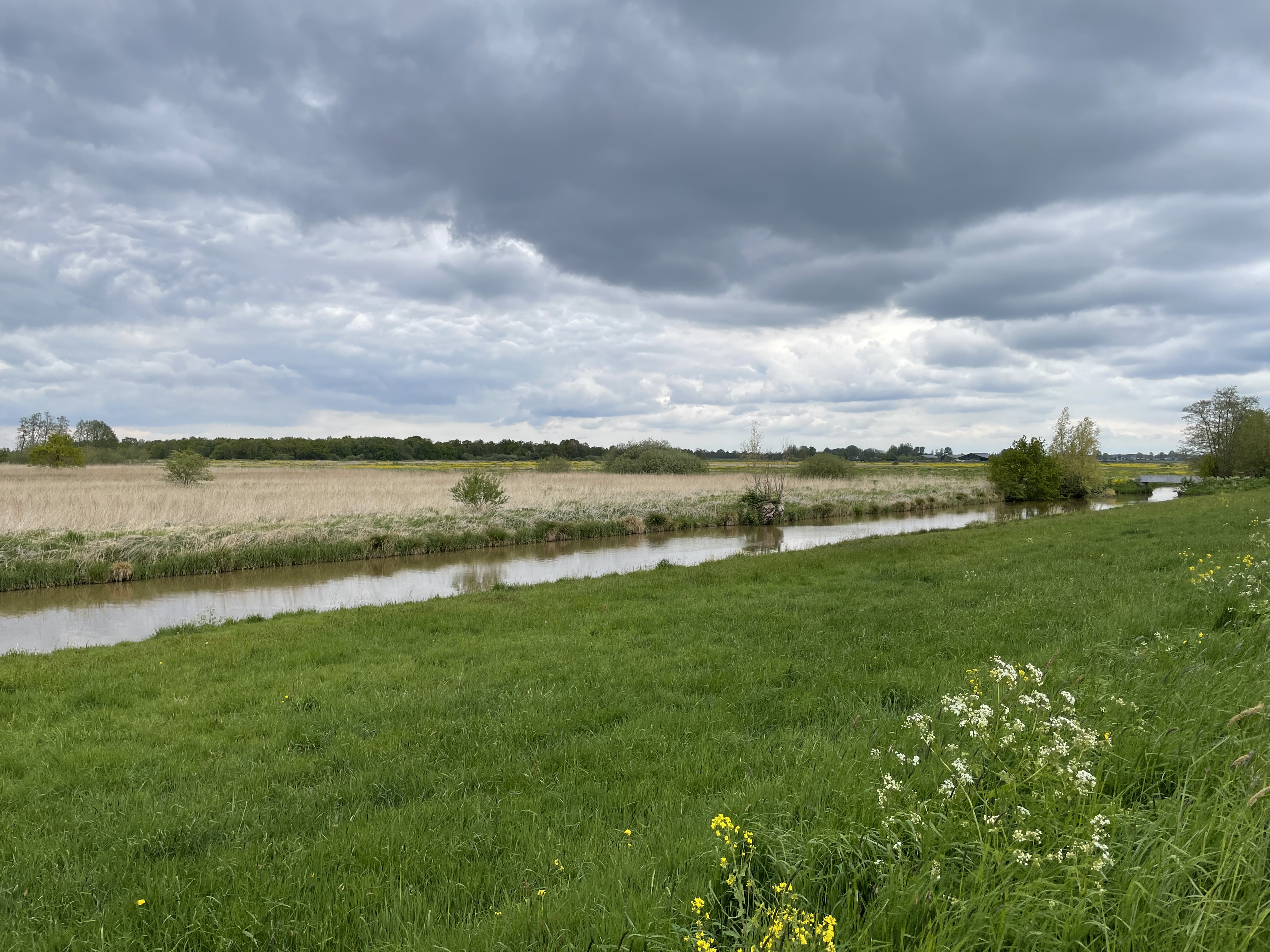 Wiesen in der Nähe von Utrecht.