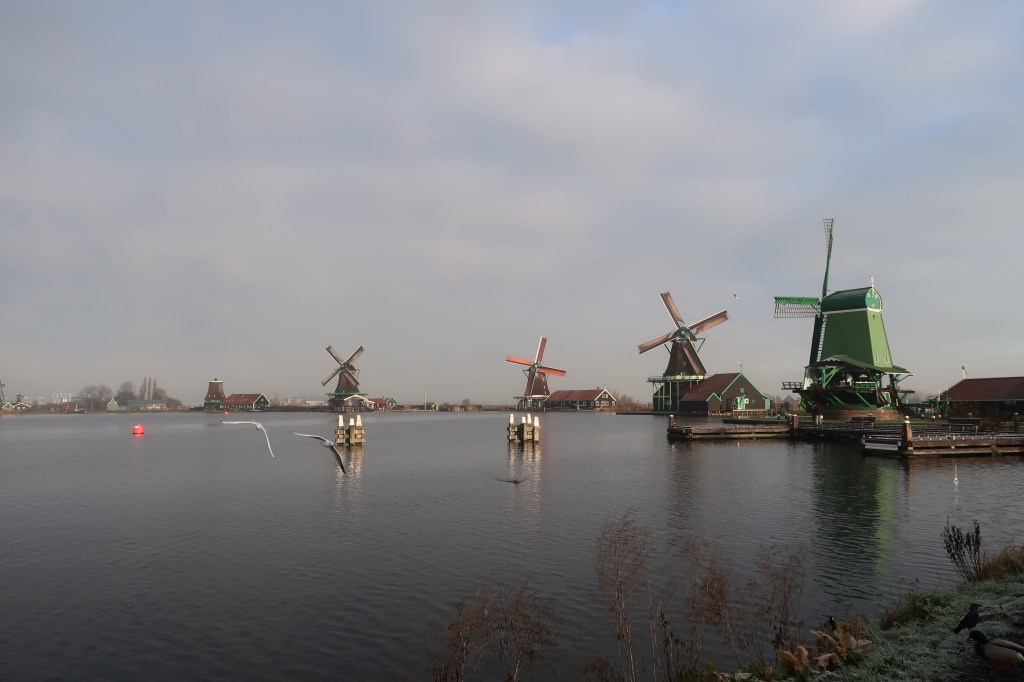 Zaanse Schans. Mein persönliches Highlight.