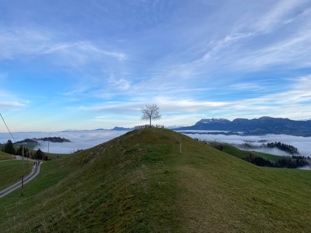 Nebelmeer auf dem Oberlehn, Menzberg.