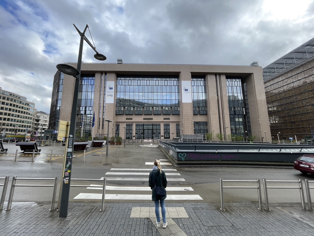 Der Europäische Rat.