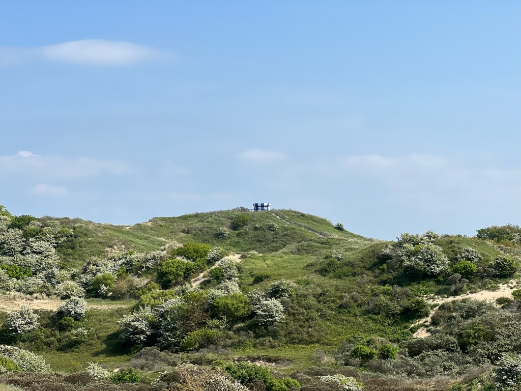 Mitten in den Dünen: die Vlaggeduin bei Katwijk.