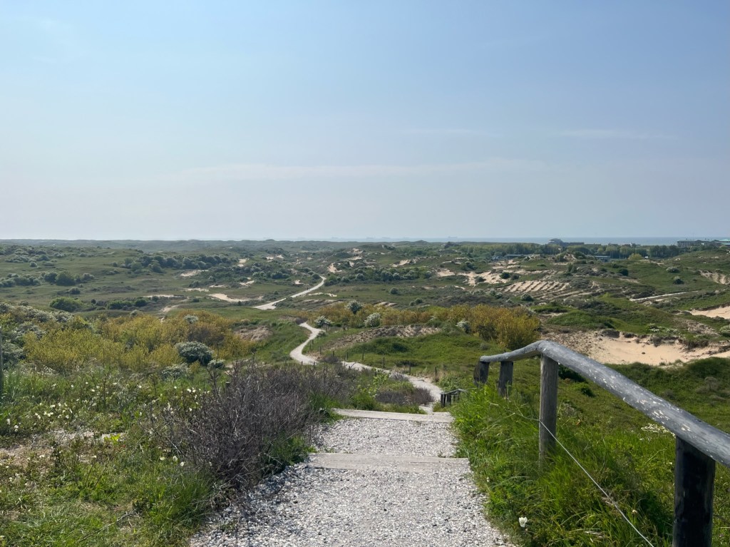 Blick von der Vlaggeduin in die Dünen.