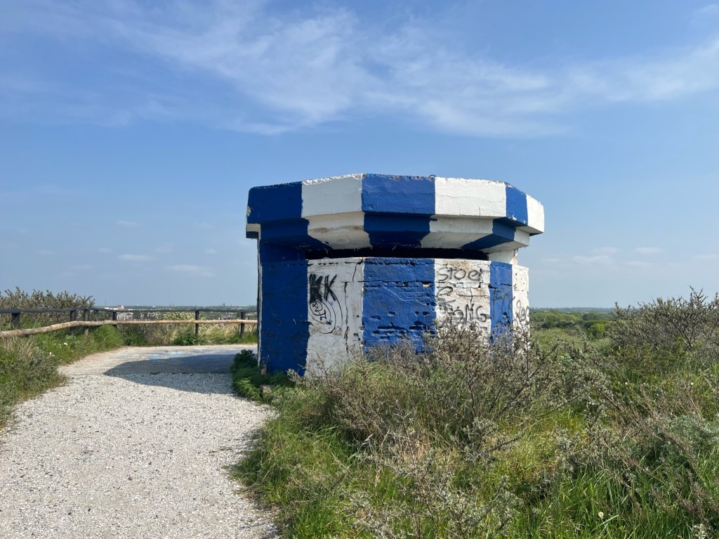 Auf dem Gipfel. Vlaggeduin.