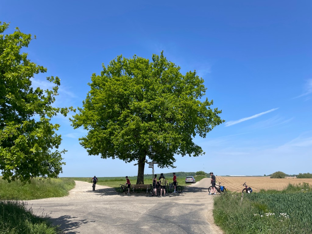 Baum an einer Strassenkreuzung zwischen Eys und Wahlwiller. Sieht aus wie die Linde auf der Schüregg, Menzberg.