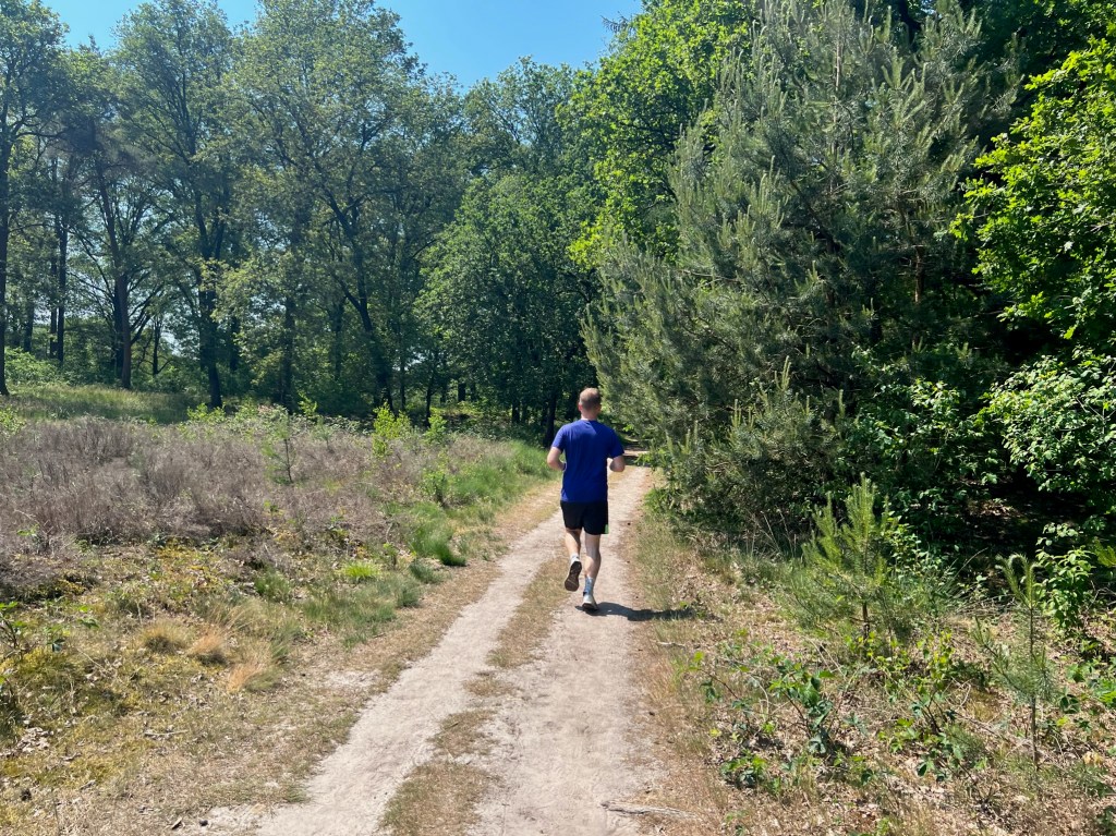 Auf dem Weg zum Amerongse Berg.
