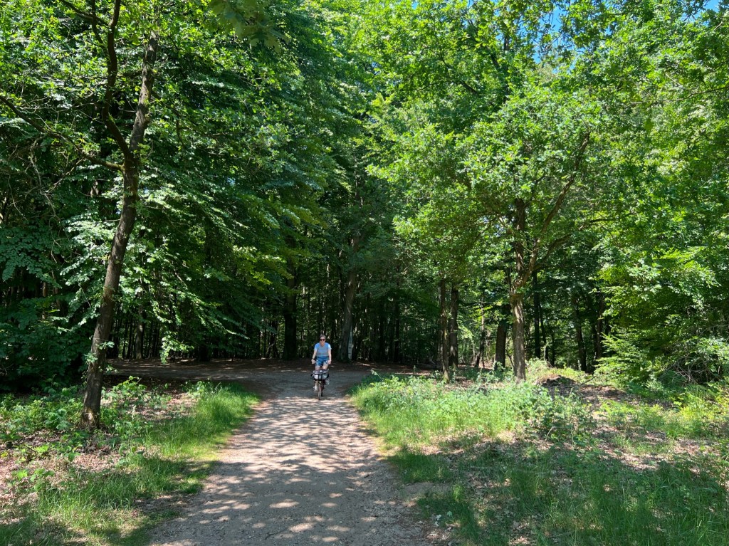 Mit dem Faltrad durch die Waldwege im Utrechtse Heuvelrug.