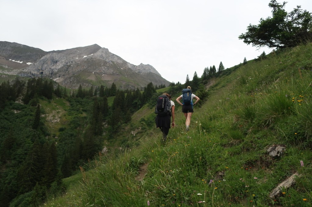 Kurz vor dem Renggpass.