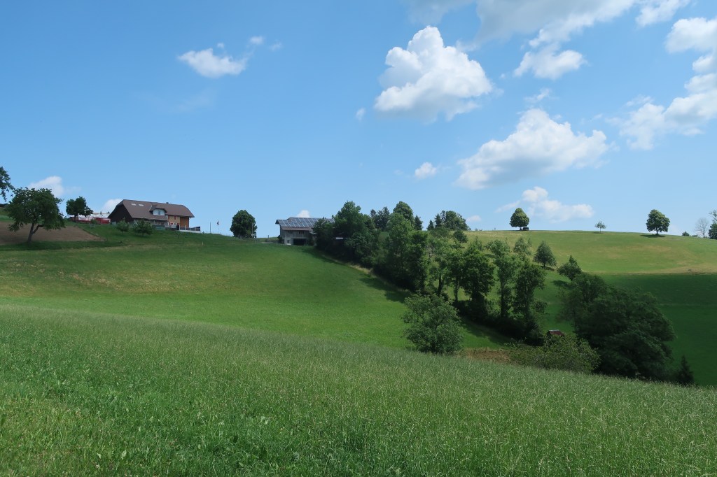 Blick hoch zur Schüregg, Menzberg.