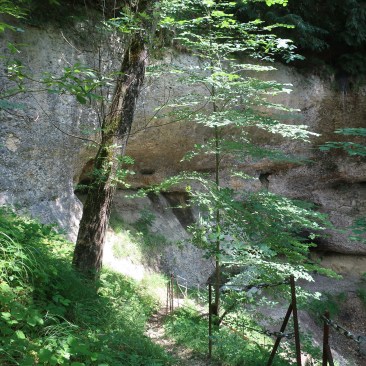 Im kühlen Fuchsloch.