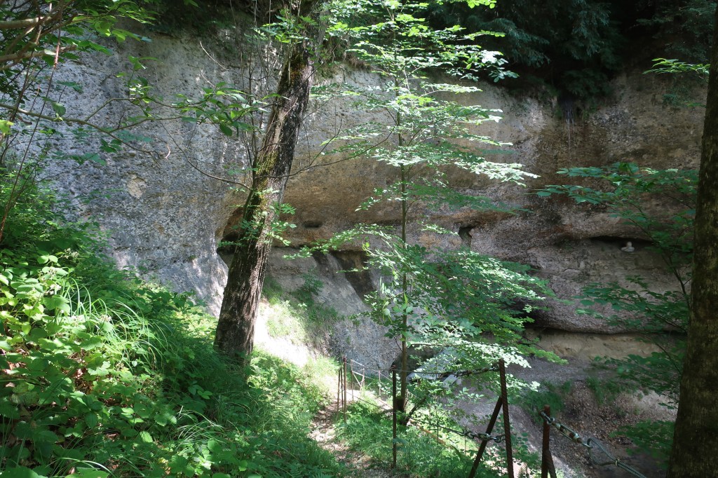 Im kühlen Fuchsloch.