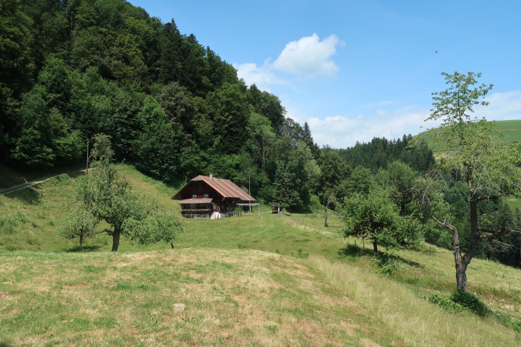 Auf dem Weg hoch. Widebach, Menzberg.