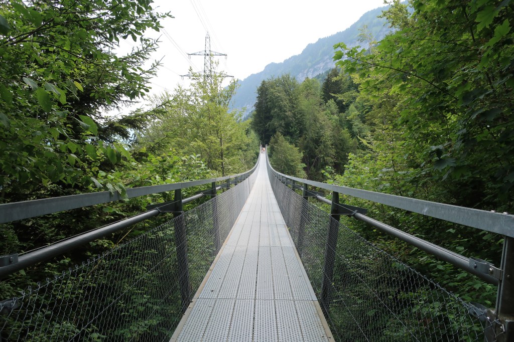 Die Panoramabrücke Leissingen.