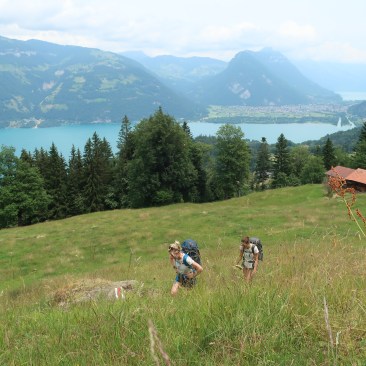 Blick zurück bei Gibel (Leissingen).