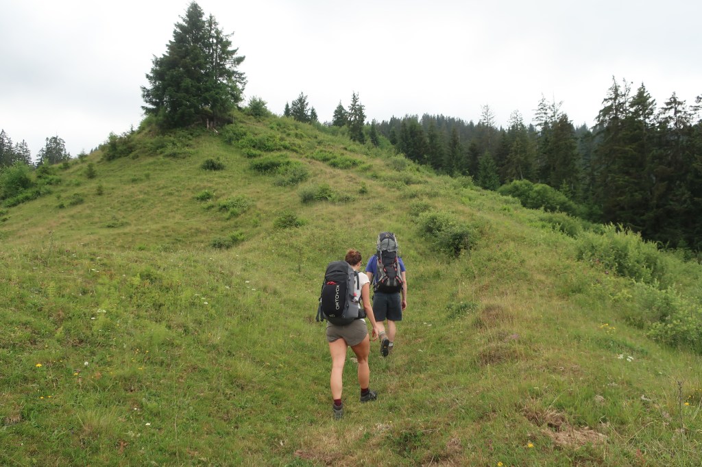 Auf dem Weg von der Horenegg zur Greberegg..