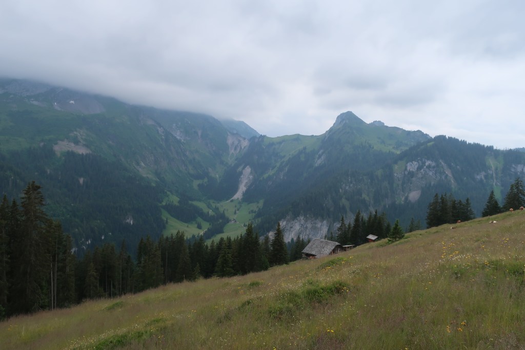 Greberegg. Blick in's Suldtal.