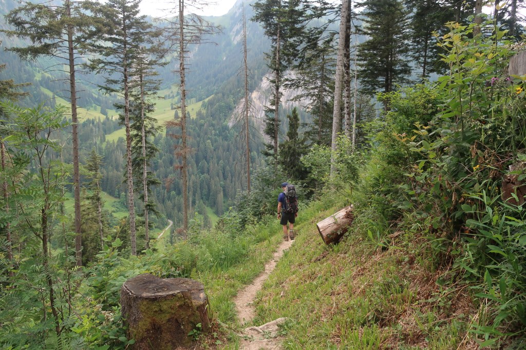 Abstieg von der Greberegg in's Suldtal.