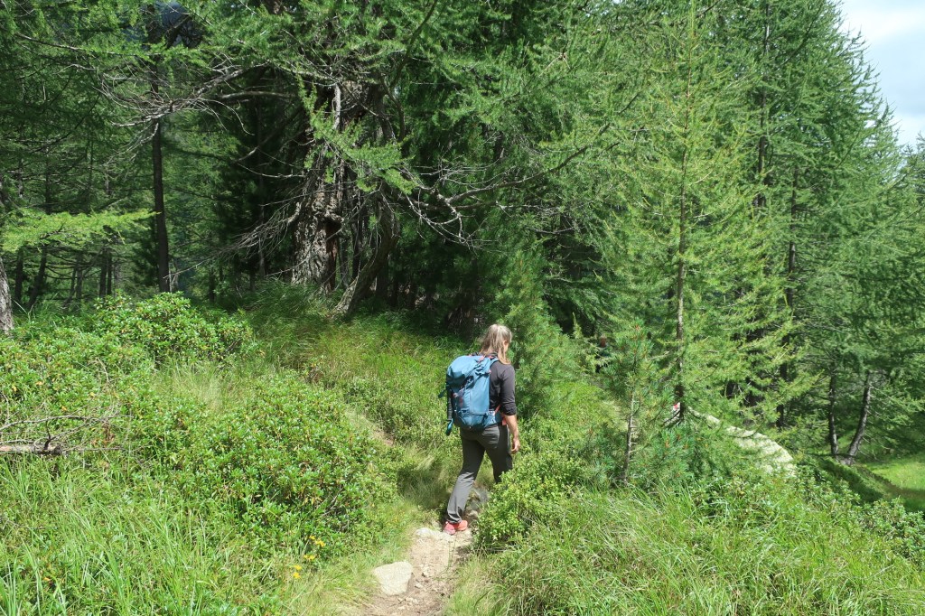 Auf dem Weg zwischen dem Passo delle Columbe und Acquacalda.
