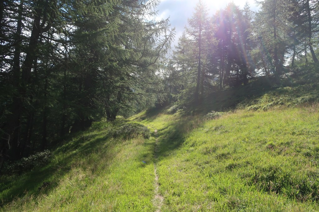 Auf dem Weg von Dötra nach Campo (Blenio).