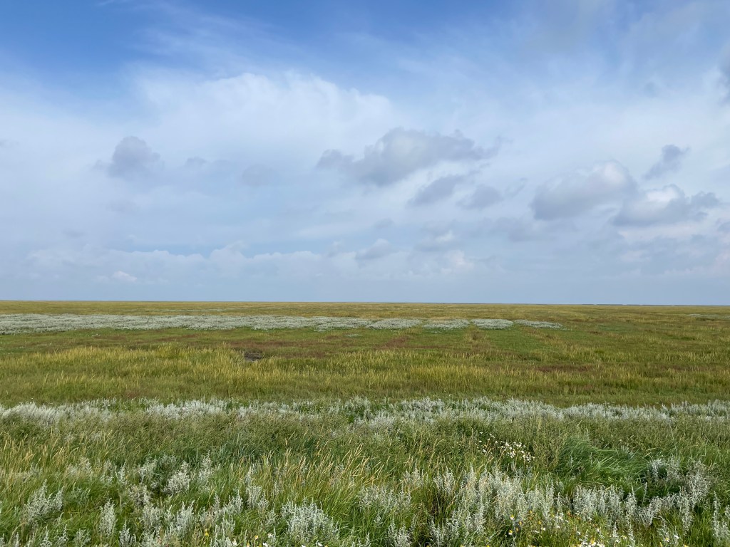 Wattlandschaft bei Noordpolderzijl.