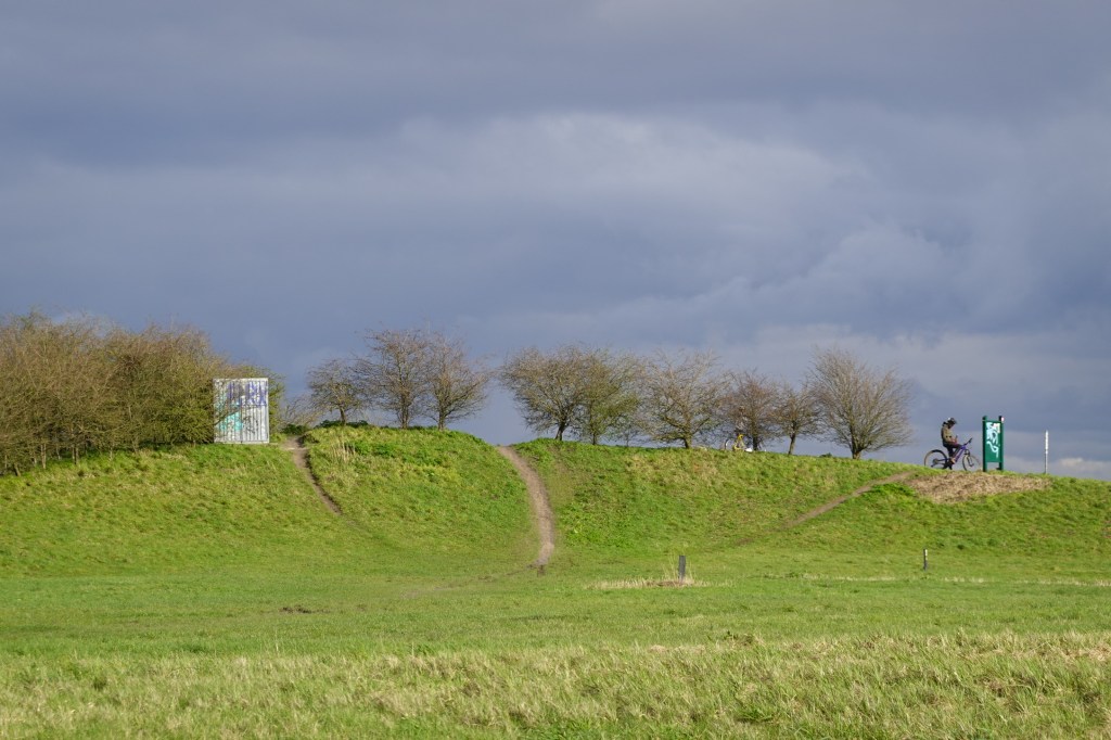 Das Dak van Brabant mit einem Fahrradfahrer.