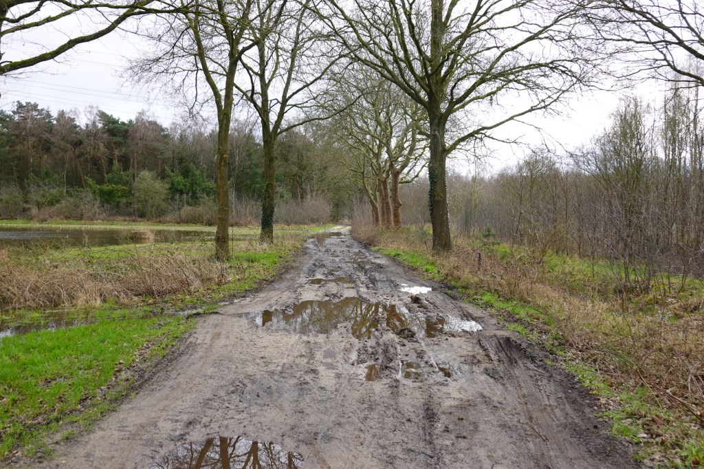 Matsch auf dem Weg zum Dak van Brabant.