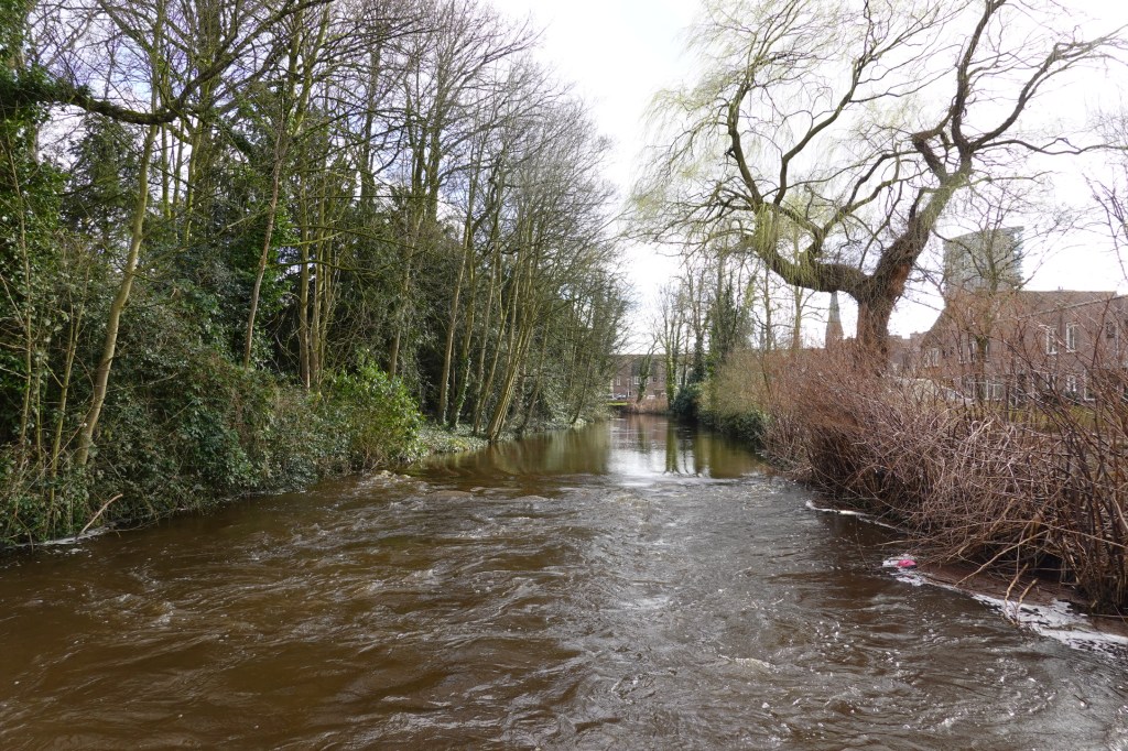 Fliessendes Gewässer bei Eindhoven.