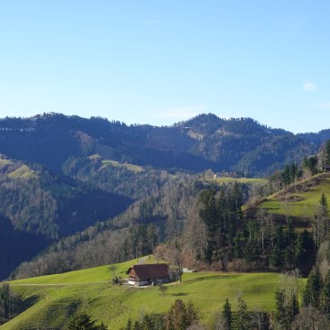 Napf vom Menzberg aus mit dem Mittler-Bergbühl im Vordergrund. Im Winter.