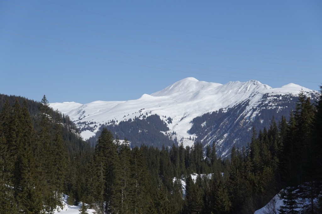 Blick Richtung Mattijschhorn vom Stausee Isel.