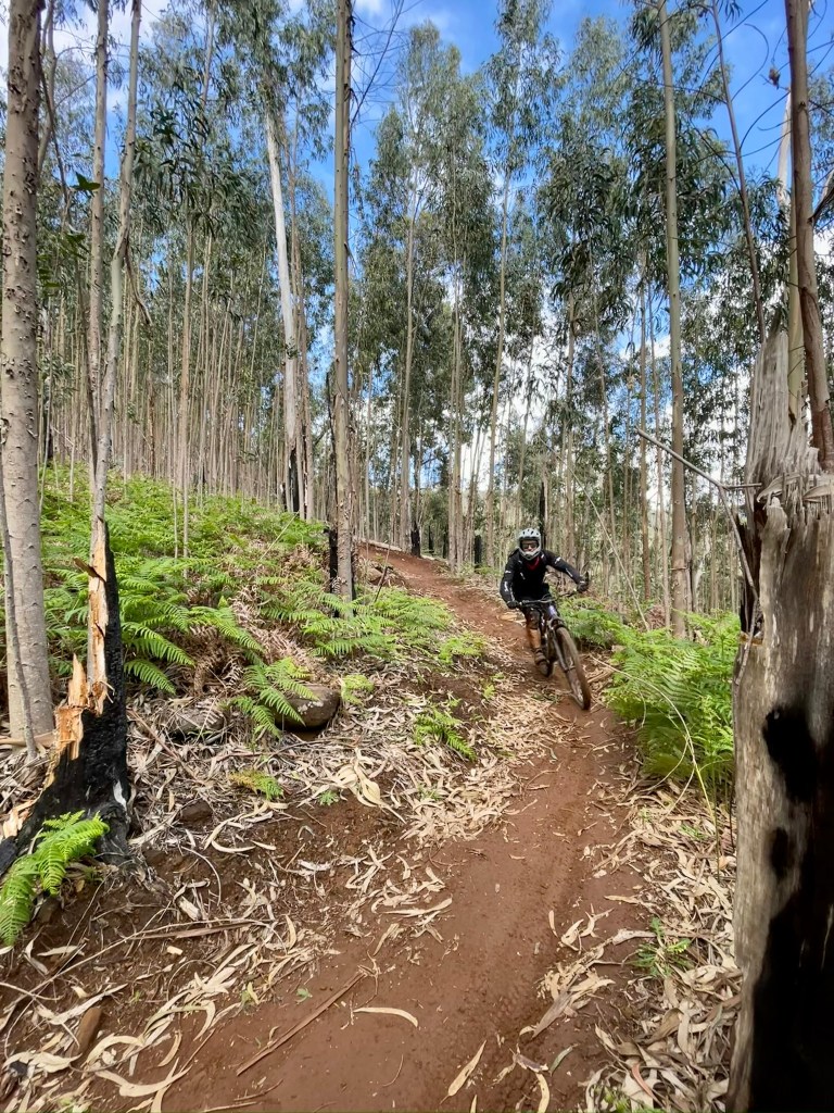 Auf dem Trail oberhalb von Santo Antonio.