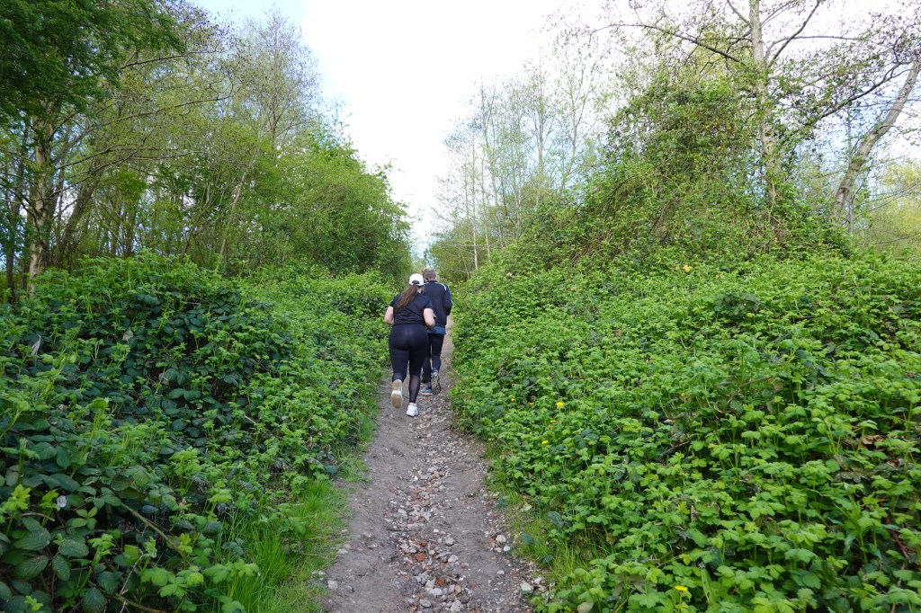 Cardio-Training am Kardingerberg.