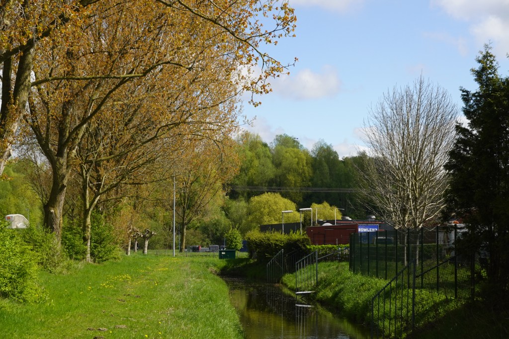 Hohe Bäume oder der Kardingerberg? Schwierig zu erkennen.