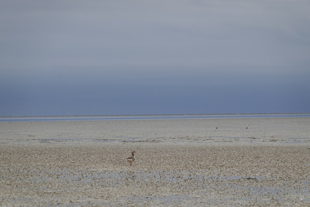 Die Waddenzee