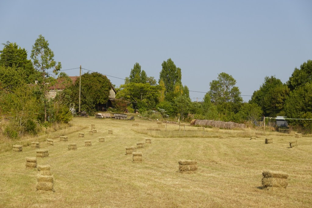 The SImply Canvas Farm. Hier waren wir vier Tage ohne Telefon.